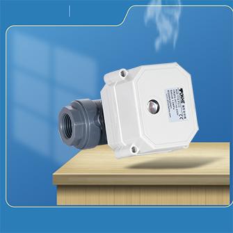兩片式PVC電動閥展示DN15